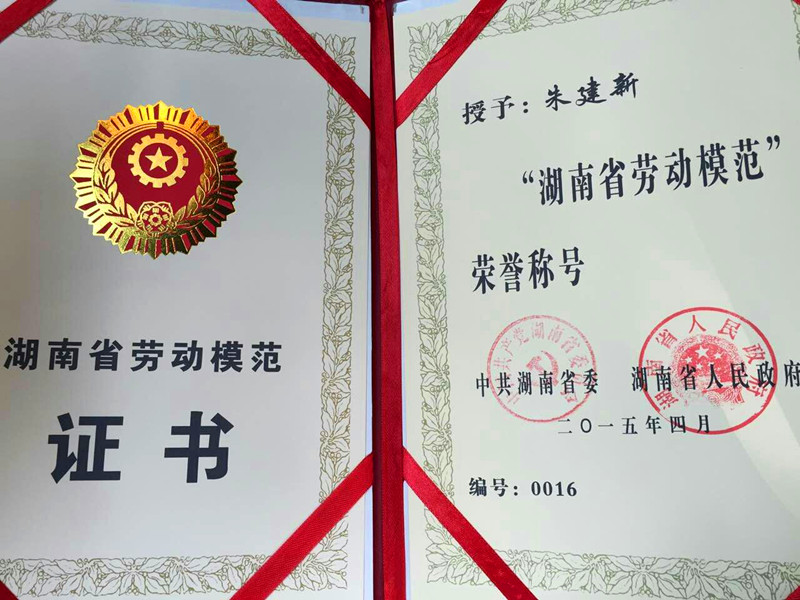米兰网站_米兰(中国)智能朱建新荣获湖南省劳动模范荣誉称号