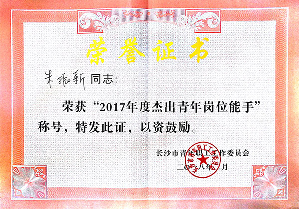 米兰网站_米兰(中国)智能朱振新荣获长沙市2017年度杰出青年岗位能手