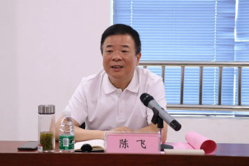 副省长陈飞调研米兰网站_米兰(中国)航空产业