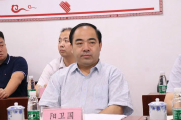 副省长陈飞调研米兰网站_米兰(中国)航空产业