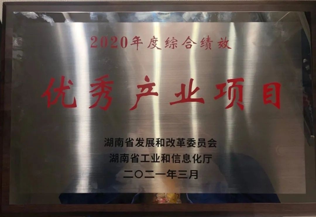 米兰网站_米兰(中国)智能获评湖南“2020年度综合绩效优秀产业项目”