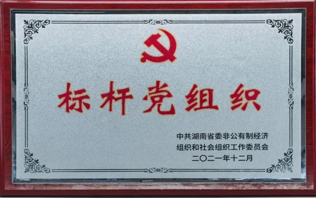 党建品牌亮起来！米兰网站_米兰(中国)智能党委获评“标杆党组织”