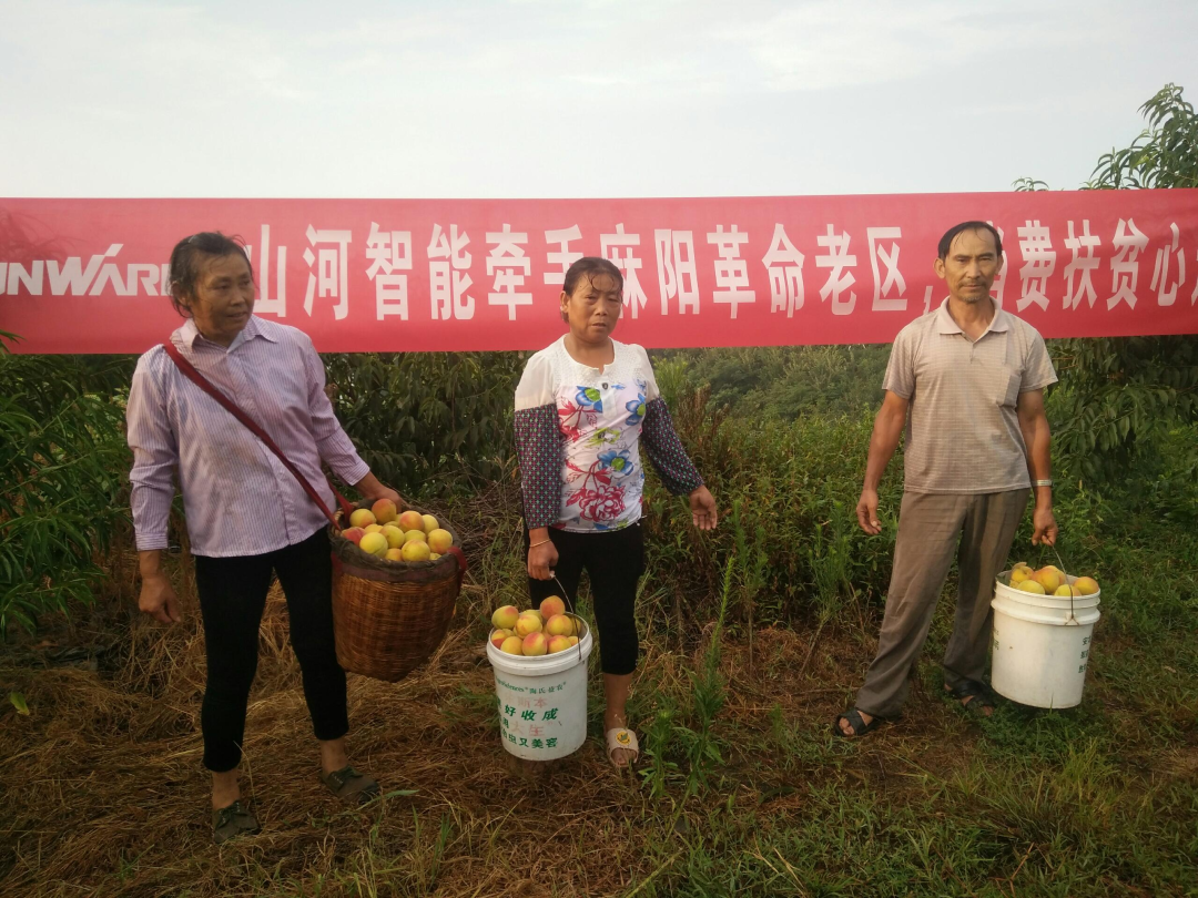 点赞！米兰网站_米兰(中国)智能成功入选“上市公司乡村振兴优秀实践案例”